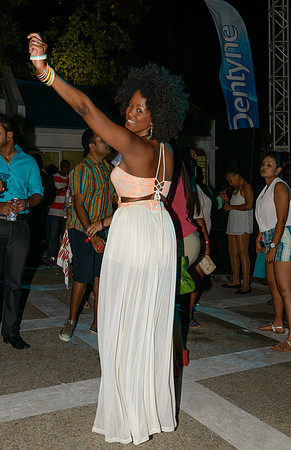 Bryden All-Inclusive Party